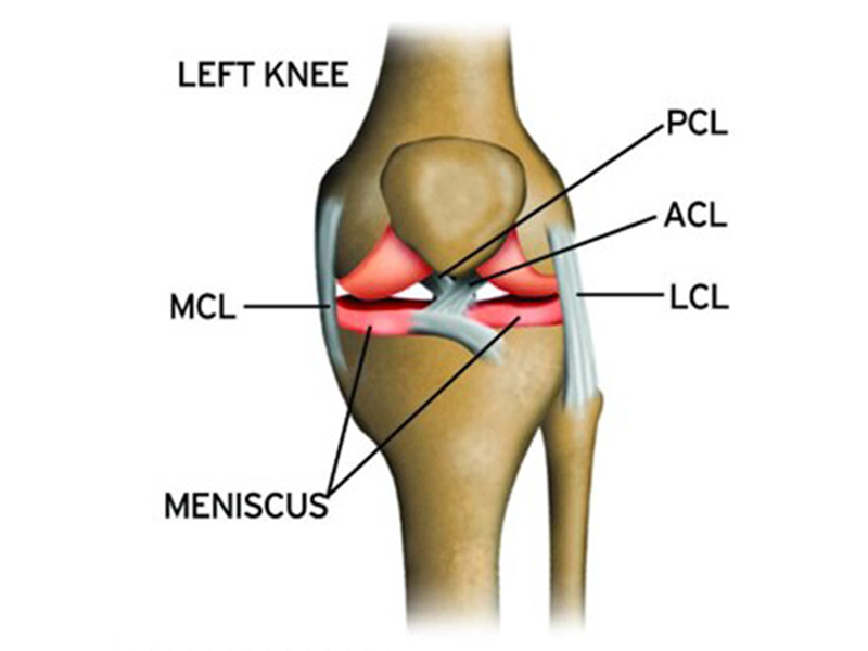 Medial Collateral Ligament Injury Treatment